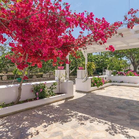 Lina And Babis' Home Adamantas  ภายนอก รูปภาพ