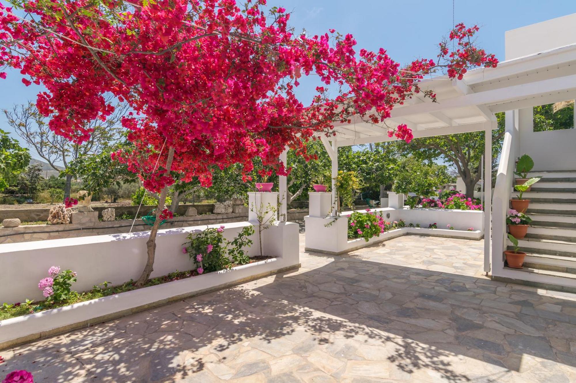 Lina And Babis' Home Adamantas  ภายนอก รูปภาพ