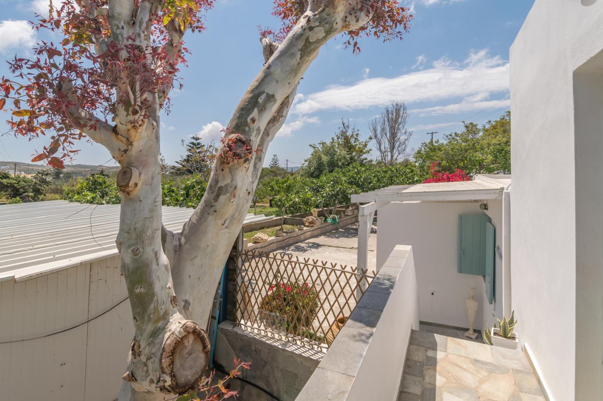 Lina And Babis' Home Adamantas  ห้อง รูปภาพ